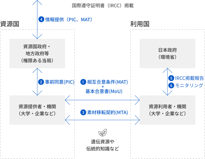資源国および利用国における遺伝資源利用の基本的な流れの相関図