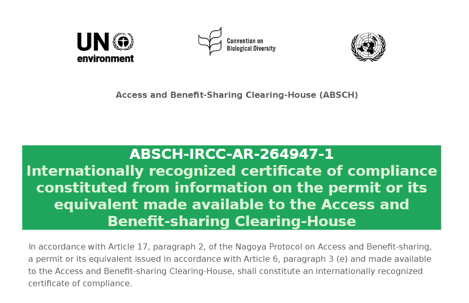 コラム：サムネイル画像